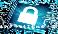 比特币钱包存放的是什么