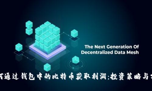 如何通过钱包中的比特币获取利润：投资策略与分析