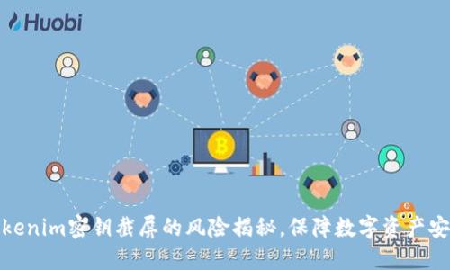 Tokenim密钥截屏的风险揭秘，保障数字资产安全