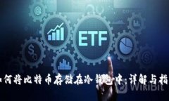 如何将比特币存储在冷钱包中：详解与指南