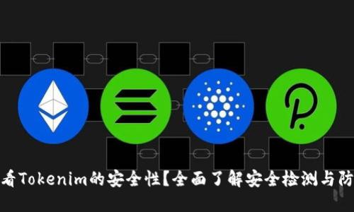 如何查看Tokenim的安全性？全面了解安全检测与防范措施