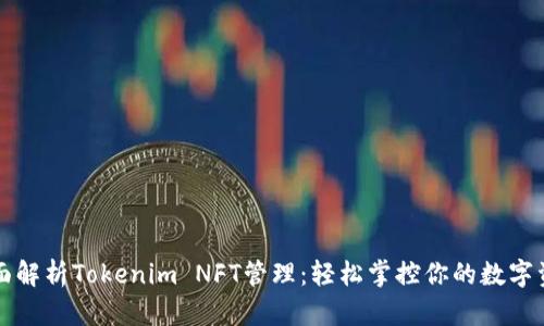 全面解析Tokenim NFT管理：轻松掌控你的数字资产