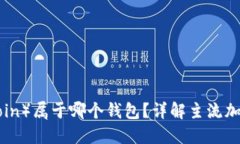 屎币（Shitcoin）属于哪个钱包？详解主流加密货币