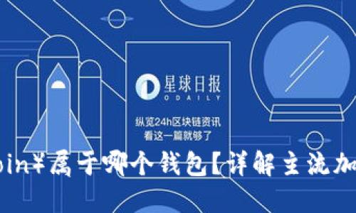 屎币（Shitcoin）属于哪个钱包？详解主流加密货币钱包