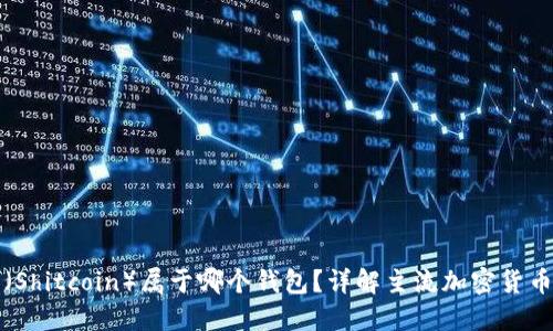 屎币（Shitcoin）属于哪个钱包？详解主流加密货币钱包