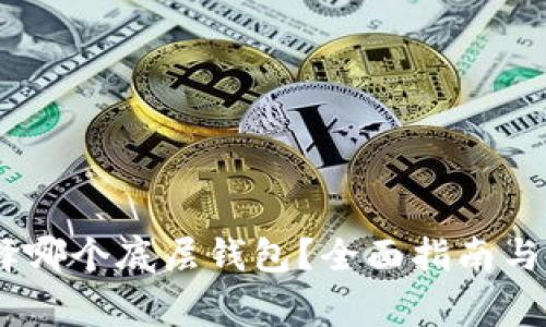 导出USDT选择哪个底层钱包？全面指南与常见问题解答
