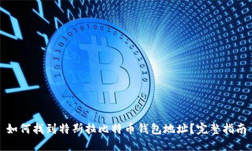 如何找到特斯拉比特币钱包地址？完整指南