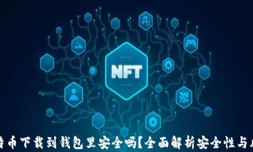 
比特币下载到钱包里安全吗？全面解析安全性与风险