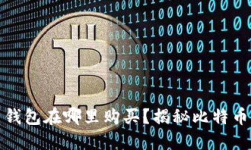 最初的比特币钱包在哪里购买？揭秘比特币的历史与发展