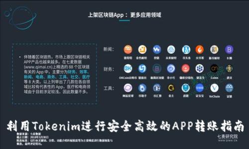 利用Tokenim进行安全高效的APP转账指南