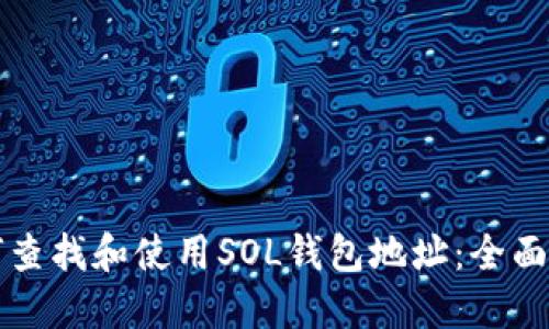如何查找和使用SOL钱包地址：全面指南