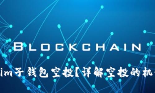 什么是Tokenim子钱包空投？详解空投的机制与参与方式
