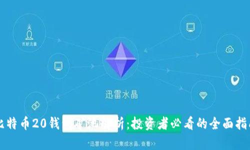 比特币20钱包矿池解析：投资者必看的全面指南