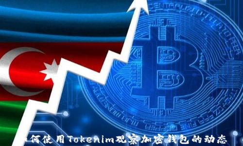 
如何使用Tokenim观察加密钱包的动态