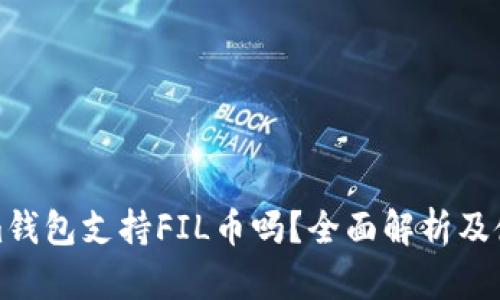 Tokenim钱包支持FIL币吗？全面解析及使用指南