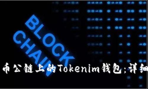 如何创建火币公链上的Tokenim钱包：详细步骤与指南