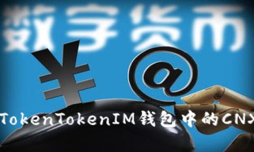全面解析TokenTokenIM钱包中的CNX数字资产
