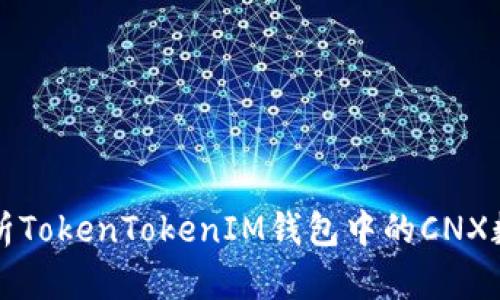 全面解析TokenTokenIM钱包中的CNX数字资产