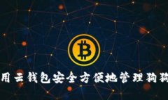 如何使用云钱包安全方便