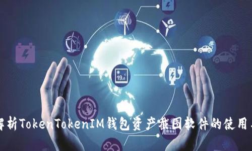 全面解析TokenTokenIM钱包资产截图软件的使用与功能