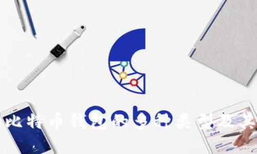 深入了解比特币钱包的多种类型及其使用方法