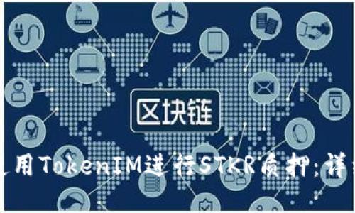 如何使用TokenIM进行STKR质押：详细指南