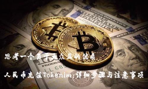 思考一个易于大众且的优质

人民币充值Tokenim：详细步骤与注意事项
