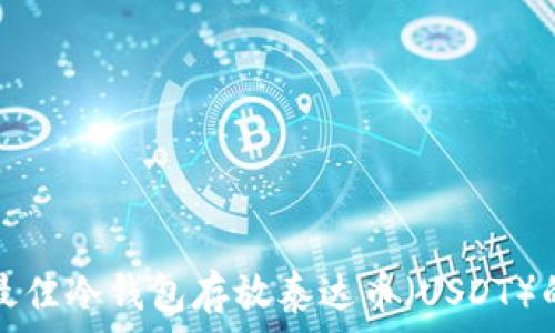   
选择最佳冷钱包存放泰达币（USDT）的指南