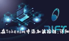 如何在Tokenim中添加波场链：详细指南
