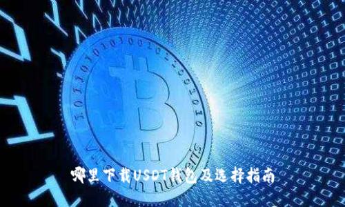 哪里下载USDT钱包及选择指南