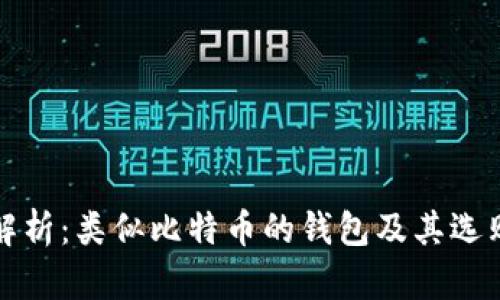 全面解析：类似比特币的钱包及其选购指南