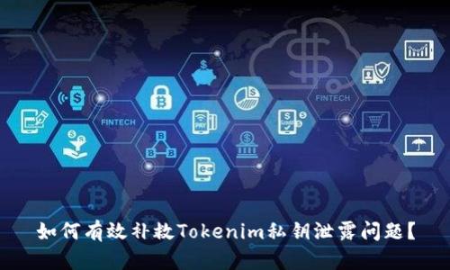 如何有效补救Tokenim私钥泄露问题？