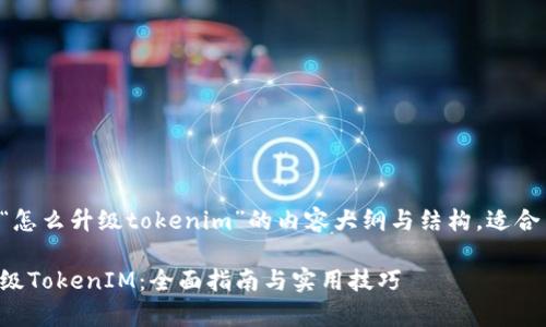 以下是关于“怎么升级tokenim”的内容大纲与结构，适合易于理解及。

如何有效升级TokenIM：全面指南与实用技巧