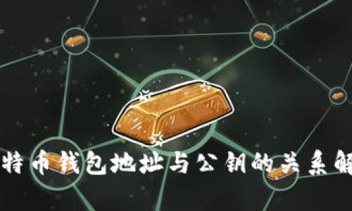 比特币钱包地址与公钥的关系解析