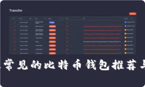 2023年最常见的比特币钱包推荐与使用指南