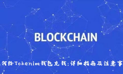 如何给Tokenim钱包充钱：详细指南及注意事项