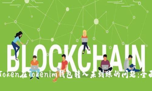 解决Token在Tokenim钱包转入未到账的问题:全面指南