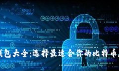 比特币钱包大全：选择最