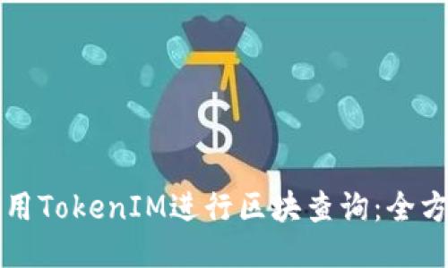 如何使用TokenIM进行区块查询：全方位指南