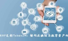 ### EOP支持TokenIM: 解码区块