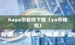 Tokenim币圈糖果：了解加密