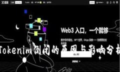Tokenim倒闭的原因与影响分