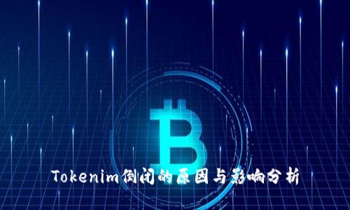 Tokenim倒闭的原因与影响分析
