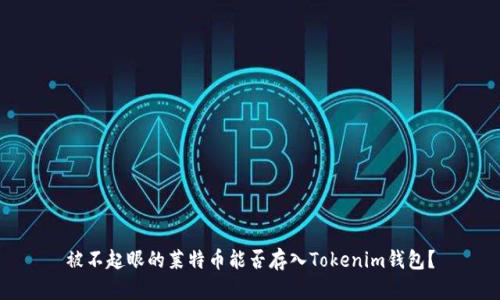 被不起眼的莱特币能否存入Tokenim钱包？