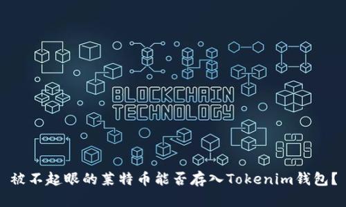 被不起眼的莱特币能否存入Tokenim钱包？