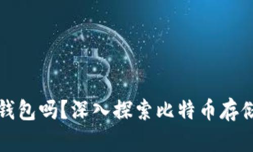 比特币一定需要钱包吗？深入探索比特币存储的必需性与选择