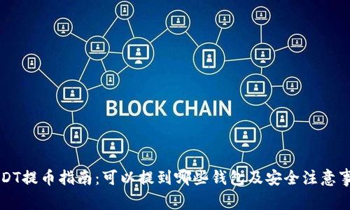 USDT提币指南:可以提到哪些钱包及安全注意事项