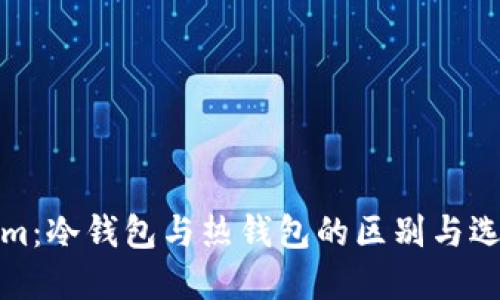 Tokenim：冷钱包与热钱包的区别与选择指南