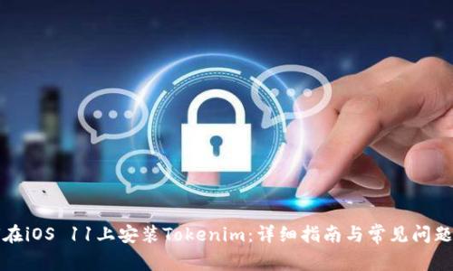 如何在iOS 11上安装Tokenim：详细指南与常见问题解答