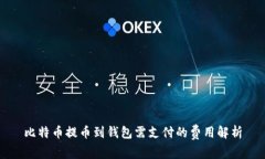比特币提币到钱包需支付